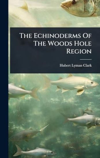 The Echinoderms Of The Woods Hole Region