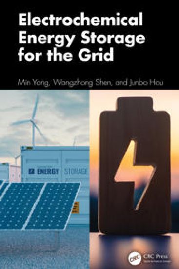 Electrochemical Energy Storage for the Grid