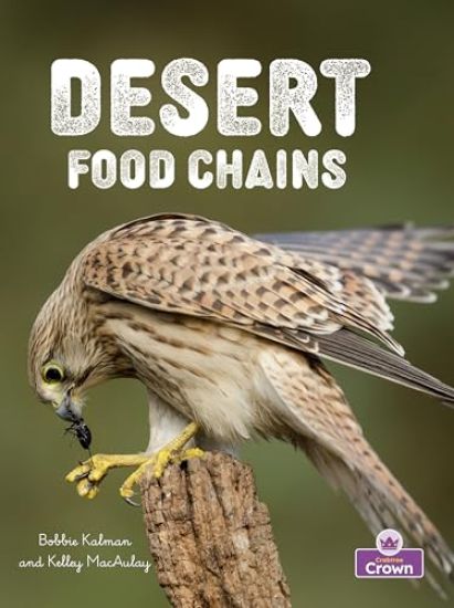 Desert Food Chains