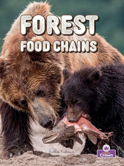 Forest Food Chains