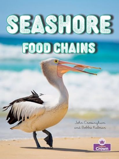 Seashore Food Chains