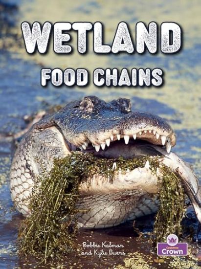Wetland Food Chains