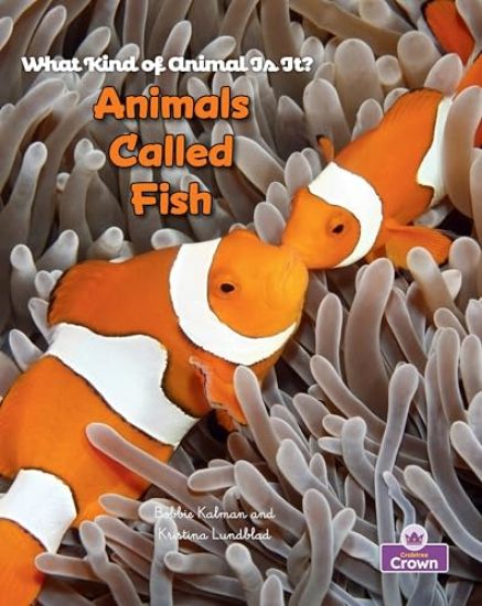 Animals Called Fish