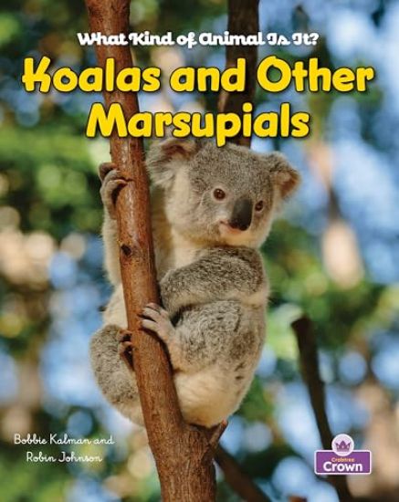 Koalas and Other Marsupials