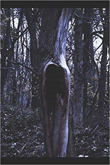 Sacrum Umbra: The Gothic Horror of Amanda M. Lyons