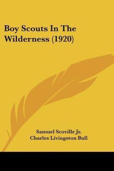 Boy Scouts in the Wilderness
