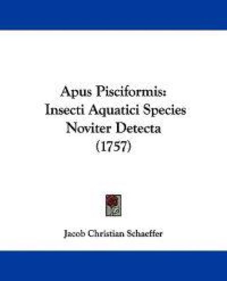 Apus Pisciformis