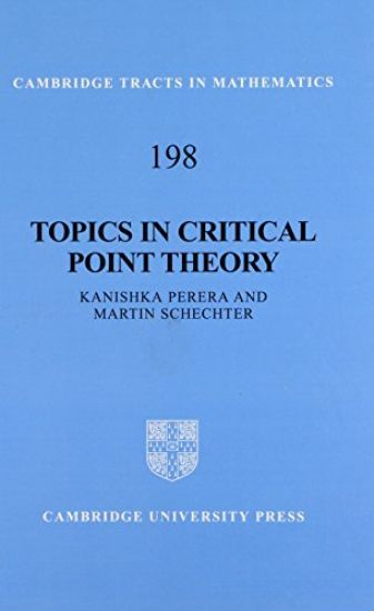Topics in Critical Point Theory