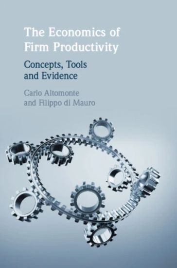 The Economics of Firm Productivity