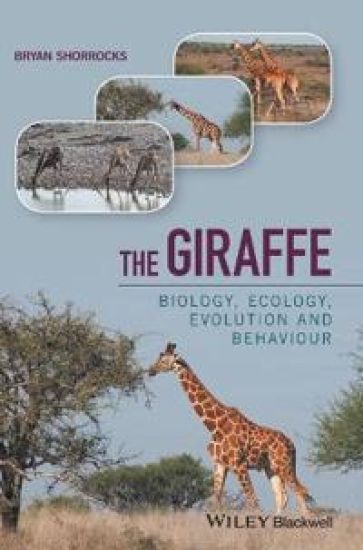 The Giraffe
