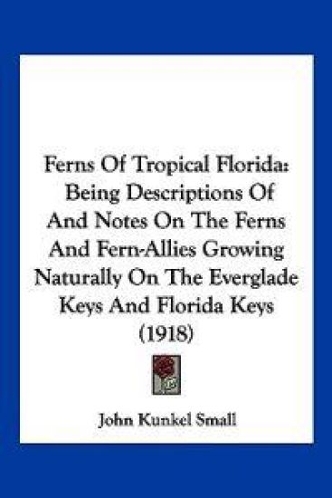 Ferns Of Tropical Florida