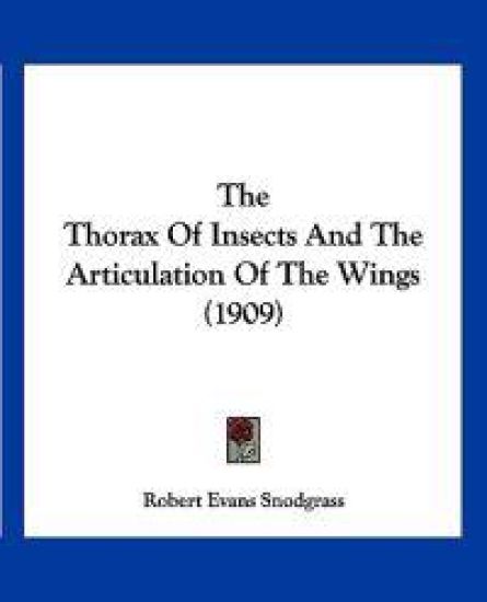 The Thorax Of Insects And The Articulation Of The Wings (1909)