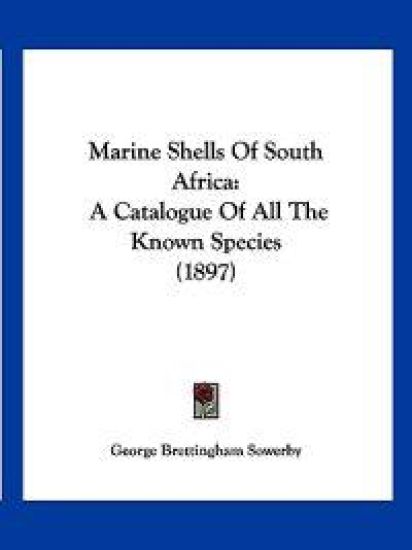 Marine Shells Of South Africa