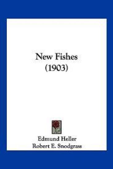 New Fishes (1903)