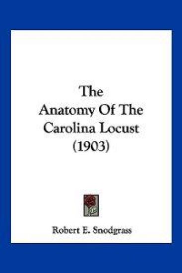 The Anatomy Of The Carolina Locust (1903)