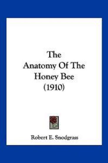 The Anatomy Of The Honey Bee (1910)
