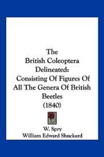The British Coleoptera Delineated