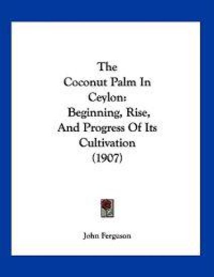 The Coconut Palm In Ceylon