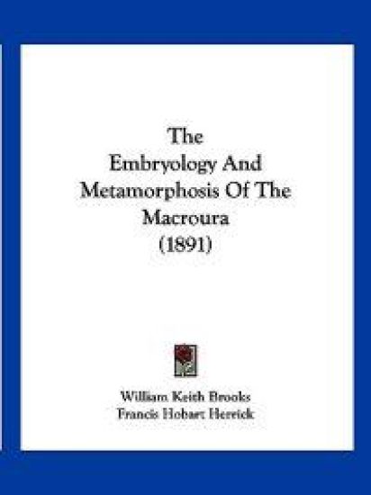 The Embryology And Metamorphosis Of The Macroura (1891)