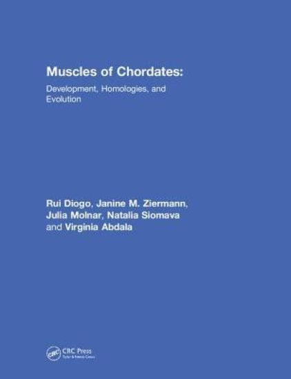 Muscles of Chordates