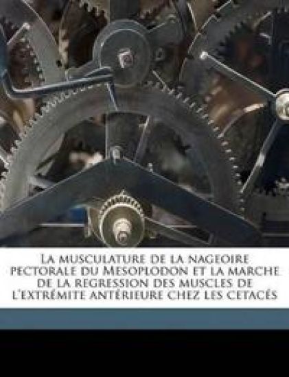 La musculature de la nageoire pectorale du Mesoplodon et la marche de la regression des muscles de l'extrémite antérieure chez les cetacés