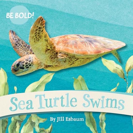 Sea Turtle Swims