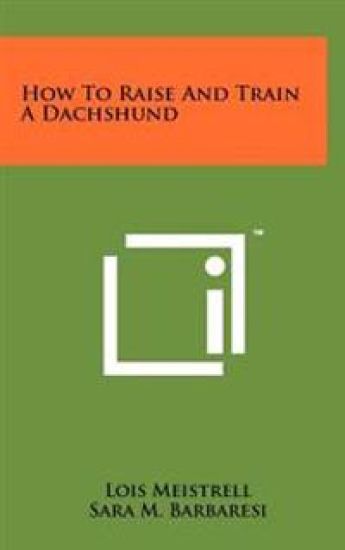 How to Raise and Train a Dachshund