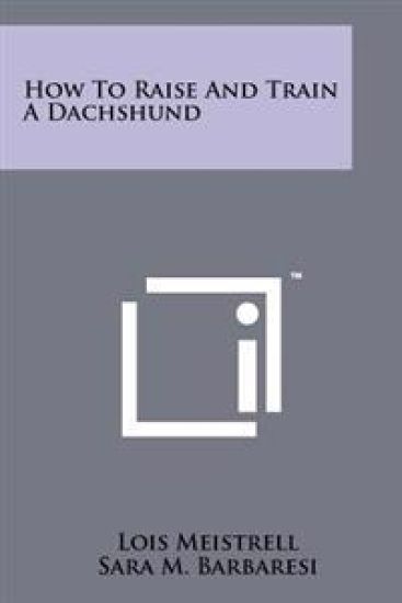 How to Raise and Train a Dachshund