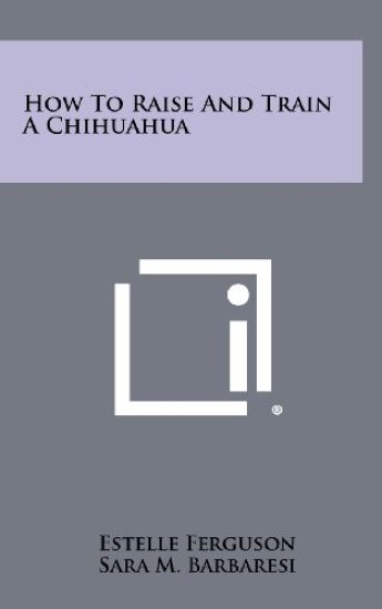 How to Raise and Train a Chihuahua