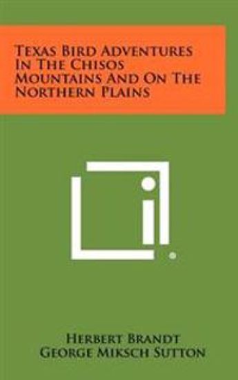Texas Bird Adventures in the Chisos Mountains and on the Northern Plains