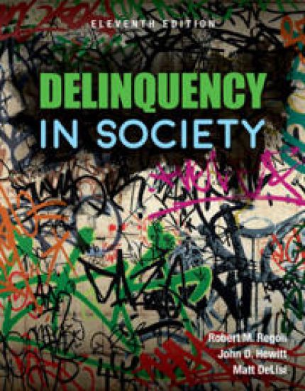 Delinquency In Society