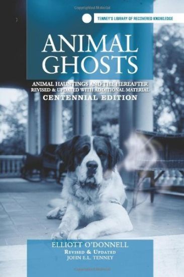 Animal Ghosts: Animal Hauntings and The Hereafter