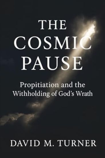 The Cosmic Pause