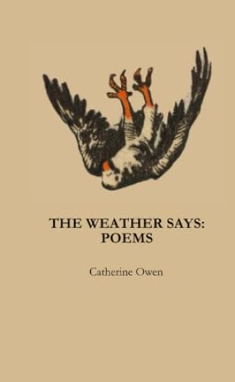 Carbonation 005 - The Weather Says