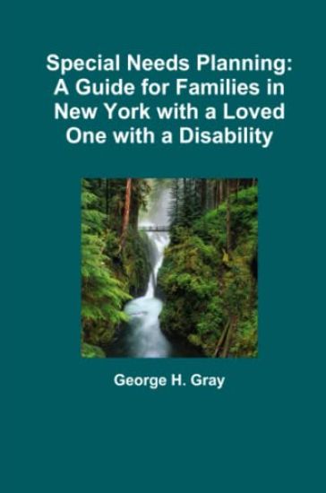 Special Needs Planning: A Guide for Families in New York with a Loved One with a Disability
