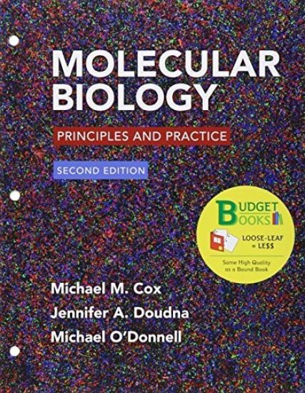 Loose-Leaf Version for Molecular Biology: Principles and Practice 2e & Launchpad for Cox's Molecular Biology (6 Month Online) [With eBook]