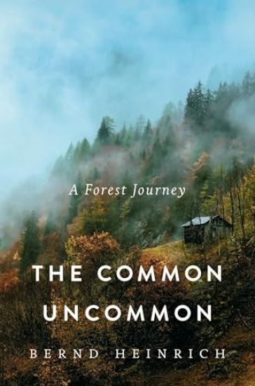 The Common Uncommon: A Forest Journey