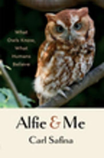 Alfie and Me