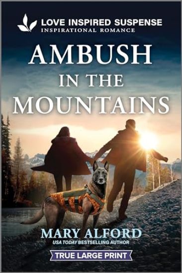 Ambush in the Mountains