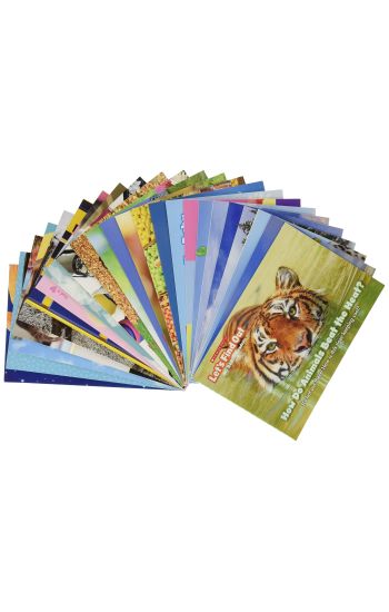 Let's Find Out: My Rebus Readers Single-Copy Set: Box 2