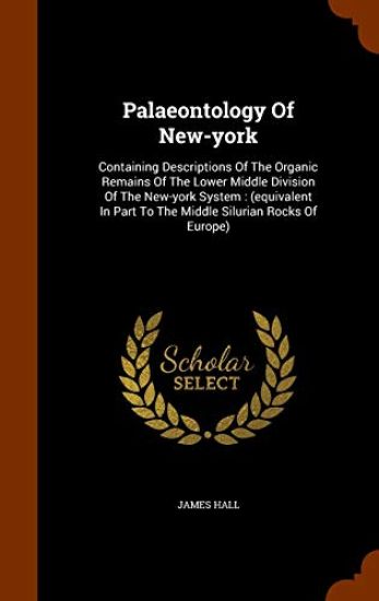 Palaeontology of New-York