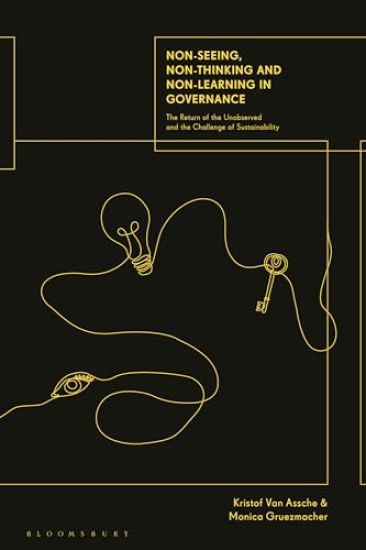 Non-seeing, Non-thinking and Non-learning in Governance