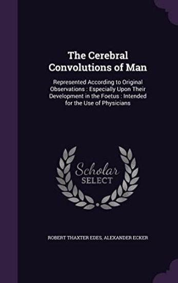 The Cerebral Convolutions of Man