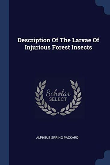 Description Of The Larvae Of Injurious Forest Insects