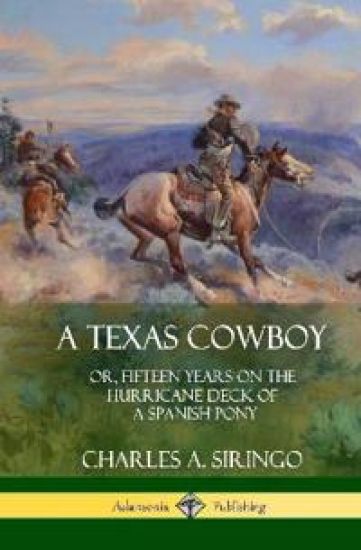 A Texas Cowboy