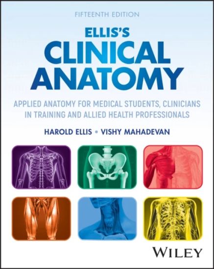 Clinical Anatomy