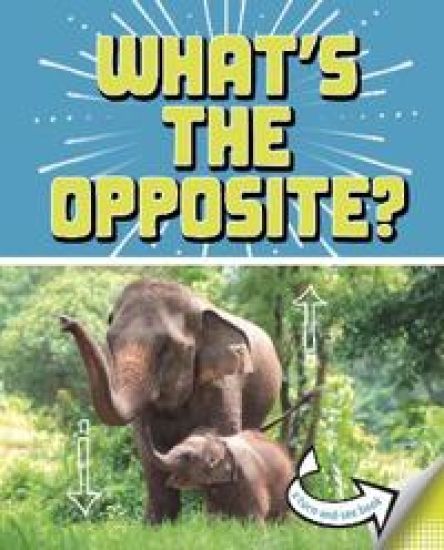 What's the Opposite?
