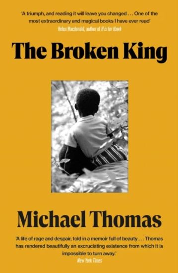 The Broken King