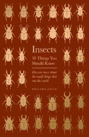 Insects