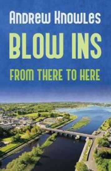 Blow Ins